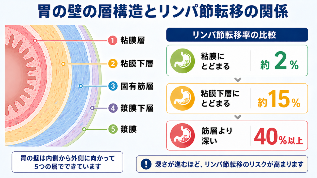 胃壁の5層構造（粘膜層・粘膜下層・固有筋層・漿膜下層・漿膜）と、がんの深さ別のリンパ節転移率（粘膜2%、粘膜下層15%、筋層より深い40%以上）を示した図解。