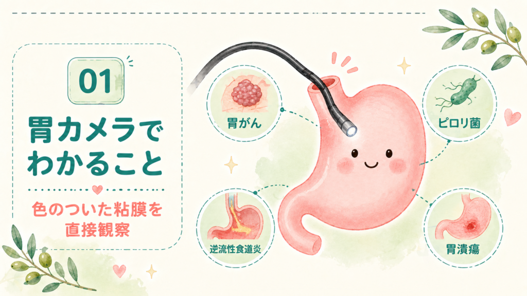 内視鏡を口や鼻から挿入して食道・胃・十二指腸を観察する胃カメラ検査のイラスト