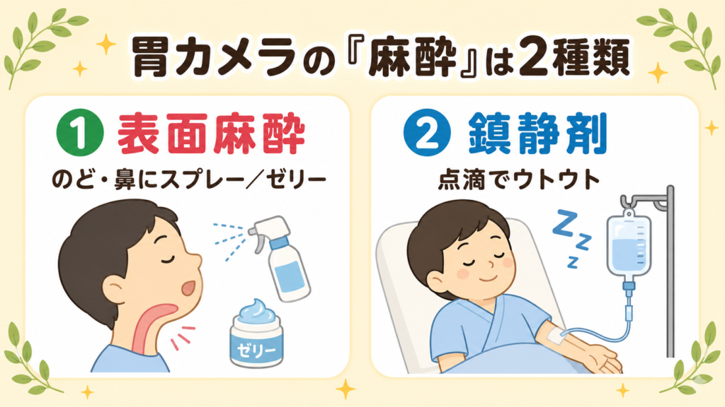 胃カメラで使われる「表面麻酔」と「鎮静剤」2種類の違いを示すインフォグラフィック