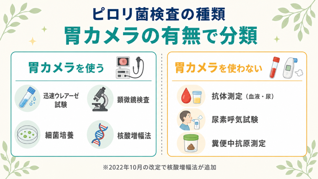 ピロリ菌検査の種類を胃カメラを使う検査（4種類）と使わない検査（3種類）に分類した図解