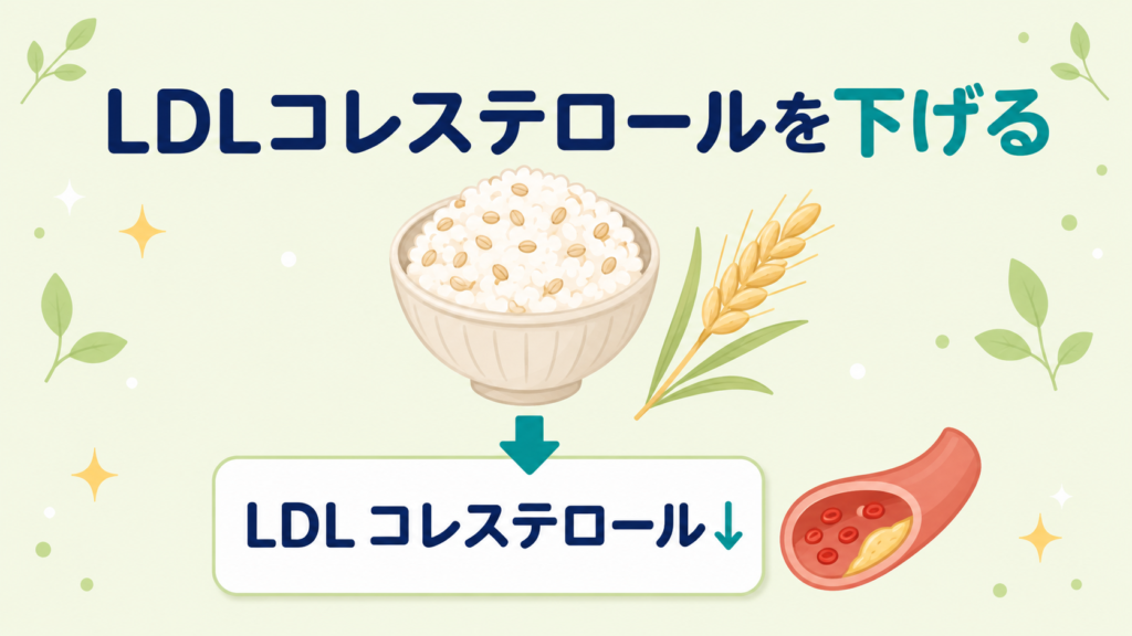 もち麦のβ-グルカンがLDLコレステロールを下げる働きを示した図