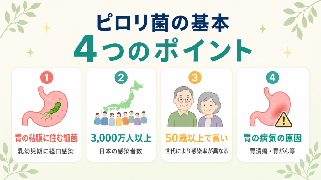 ピロリ菌の基本（胃の粘膜に住む細菌・3,000万人以上・50歳以上で感染率高・胃の病気の原因）を示す4つのポイントの図解