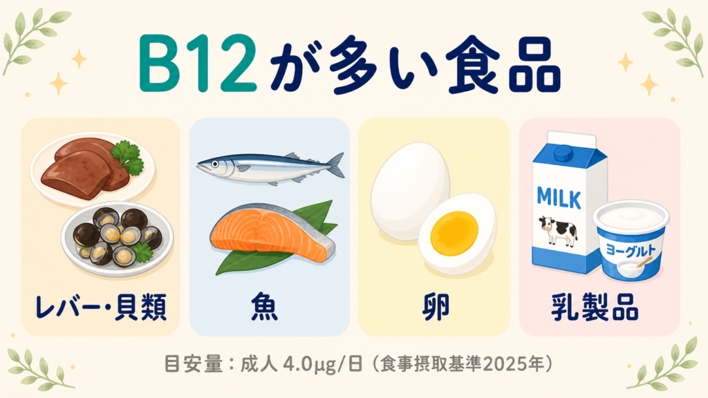 ビタミンB12を多く含む食品のイラスト。レバー・貝類、魚、卵、乳製品の4種類をカード形式で表示。成人の目安量は1日4.0µg