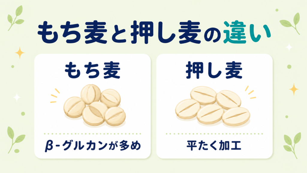 もち麦と押し麦の違い（粒の形・β-グルカン量）を左右で比較した図