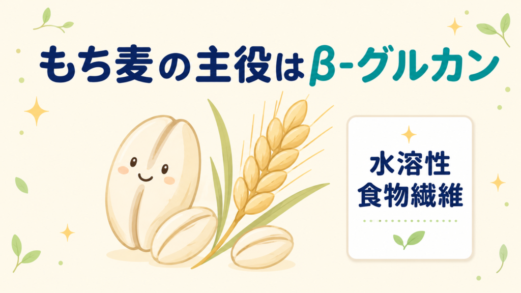 もち麦の主役成分が水溶性食物繊維β-グルカンであることを示した図