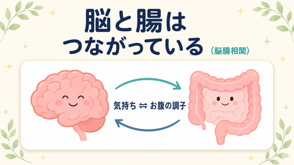 脳と腸が双方向に影響し合う「脳腸相関」を表す図。脳と腸が2本の矢印でつながっている