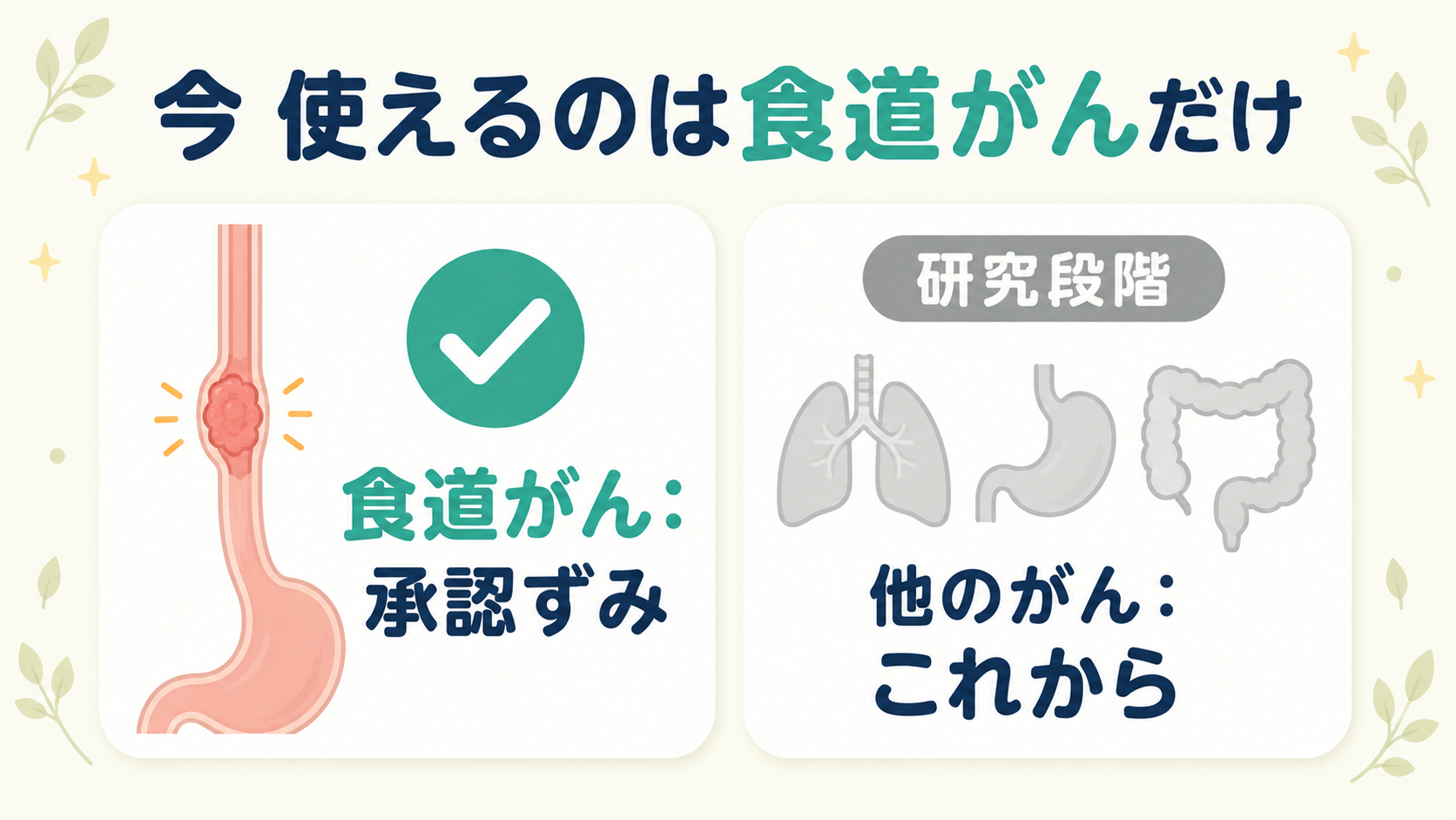 現在テロメライシンが承認されているのは食道がんのみで、他のがんは研究段階であることを示す図