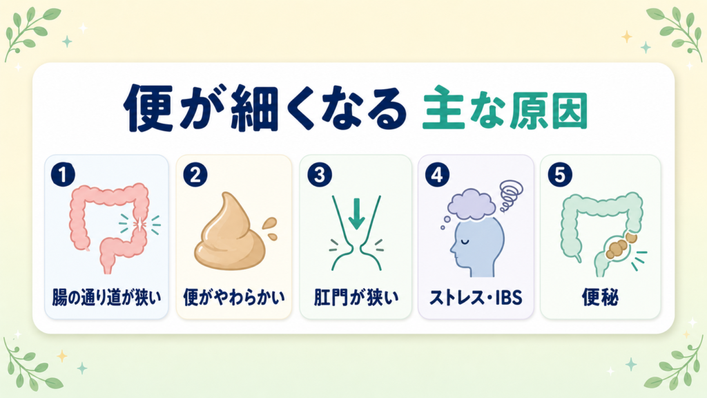 便が細くなる主な原因(腸が狭い・便がやわらかい・肛門が狭い・ストレス・便秘)を整理した図
